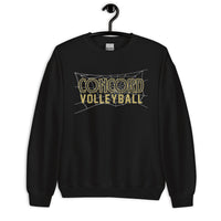 Concord Volleyball with Web Net Unisex Sweatshirt
