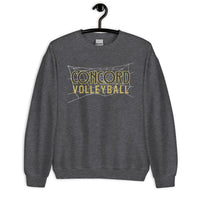 Concord Volleyball with Web Net Unisex Sweatshirt - Customizable