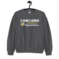 Concord Volleyball Distressed Unisex Sweatshirt - Customizable