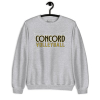 Concord Volleyball with Web Net Unisex Sweatshirt