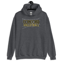 Concord Volleyball with Web Net Unisex Hoodie