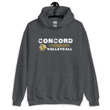 Concord Volleyball Distressed Unisex Hoodie
