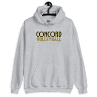 Concord Volleyball with Web Net Unisex Hoodie