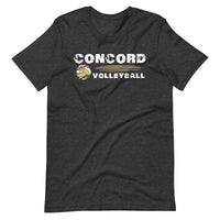 Concord Volleyball Distressed Blended T-shirt