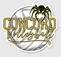 Concord Volleyball Bubble-free Sticker Packs (10, 15, 30, or 60)