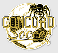 Concord Soccer Bubble-free Sticker Packs (10, 15, 30, or 60)