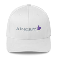 A Measure Up Embroidered Structured Twill Cap