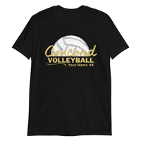 Concord Volleyball Customizable Basic T-Shirt